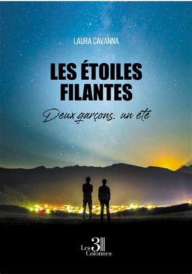 Les Étoiles Filantes : Un mélange envoûtant de mélancolie acoustique et de rythmes synthétiques envoûtants