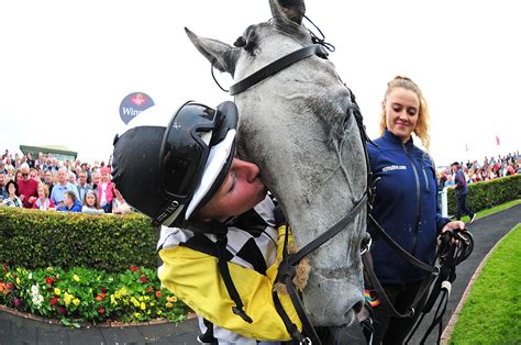 The Galway Races : Une mélodie endiablée qui vous transportera sur les pelouses verdoyantes de l'Irlande